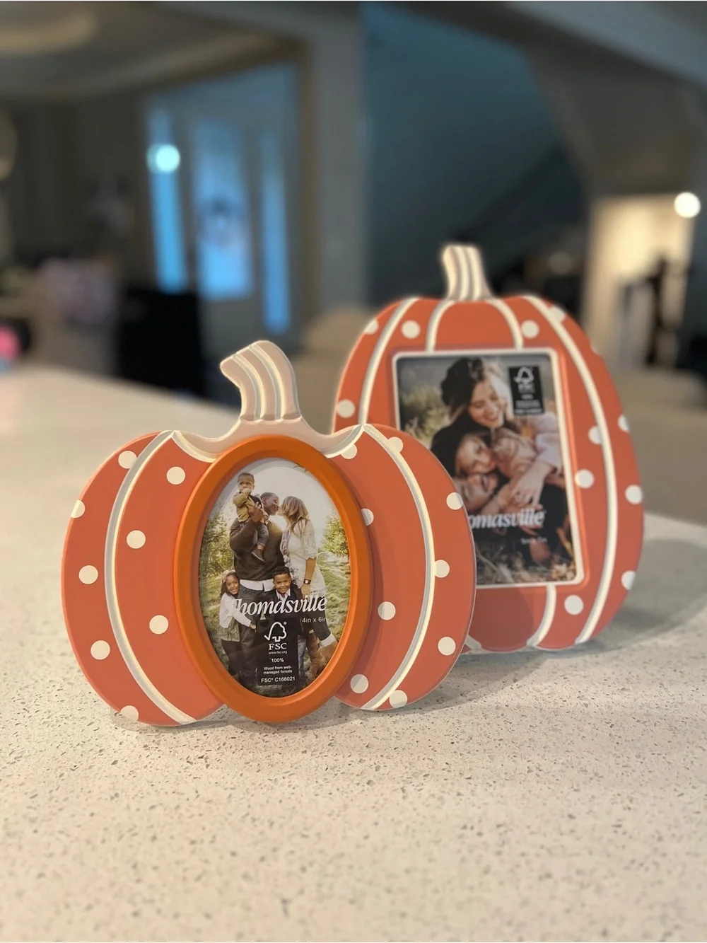 Thomasville Orange Polka Dot Pumpkin Picture Frame - Festive Tabletop Décor
